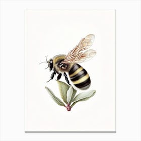 Solitary Bee 4 Vintage Canvas Print