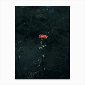 Rose In The Dark 33 Canvas Print