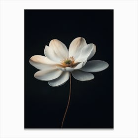 Lotus Flower 25 Canvas Print