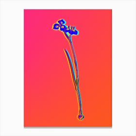 Neon Vieusseuxia Glaucopis Botanical in Hot Pink and Electric Blue Canvas Print