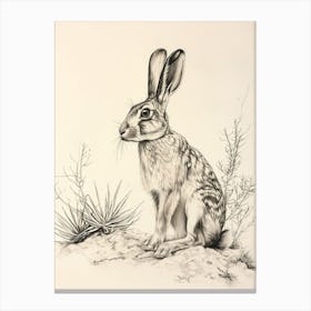 Satin Rabbit Drawing 4 Canvas Print
