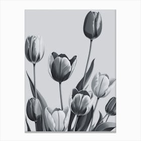 Black And White Tulips 10 Canvas Print