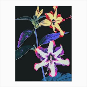 Neon Flowers On Black Petunia 3 Canvas Print