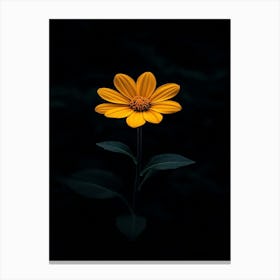 Single Yellow Flower 15 Canvas Print