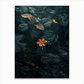 Rizwanakhan The Last Flower 13 Canvas Print