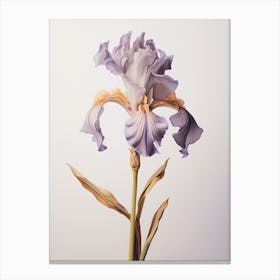 Pressed Flower Botanical Art Iris 4 Canvas Print