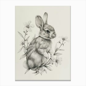 Mini Satin Rabbit Drawing 2 Canvas Print