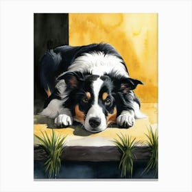 Border Collie Canvas Print