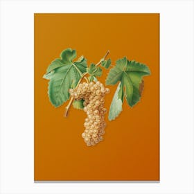 Vintage Trebbiano Grapes Botanical on Sunset Orange n.0131 Canvas Print