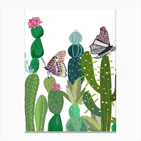 Cactus Succulents Butterflies Canvas Print