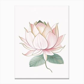 Lotus Flower Pattern Pencil Illustration 2 Canvas Print