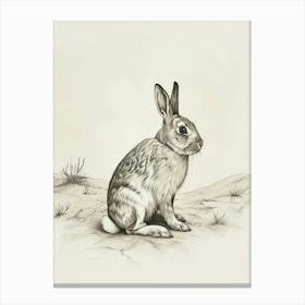 American Fuzzy Rabbit Drawing 1 Canvas Print
