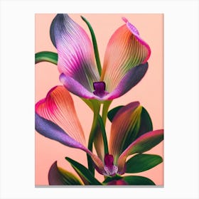 Lady Slipper Orchid Colourful Illustration Plant Canvas Print