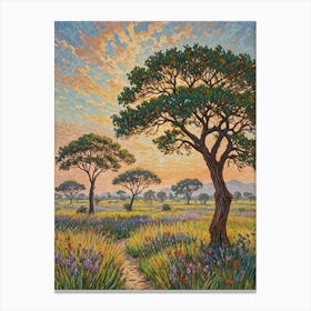 African Spring Sunset Canvas Print