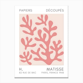 Henri Matisse 12 Canvas Print