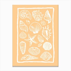 Seashells Orange Canvas Print