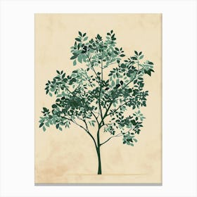 Paulownia Tree Minimal Japandi Illustration 1 Canvas Print