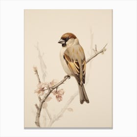 Vintage Bird Drawing Finch 2 Canvas Print