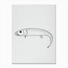 Hake Black & White Drawing Canvas Print