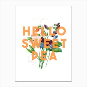 Hello Sweet Pea Canvas Print