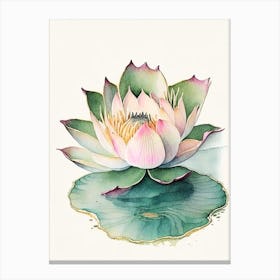 Blooming Lotus Flower In Lake Watercolour Ink Pencil 4 Canvas Print