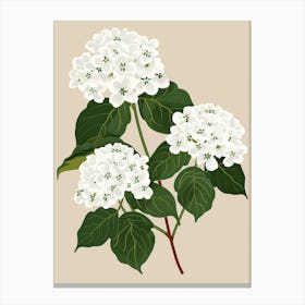 Hydrangea 9 Canvas Print