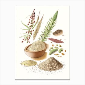 Sesame Seeds Spices And Herbs Pencil Illustration 4 Canvas Print