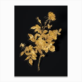 Vintage Alpine Rose Botanical in Gold on Black n.0426 Canvas Print