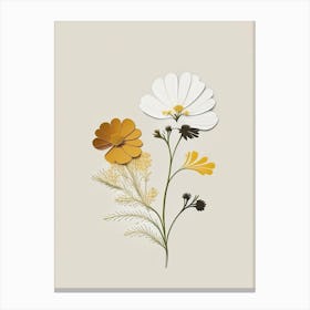 Feverfew Spices And Herbs Retro Minimal 2 Canvas Print