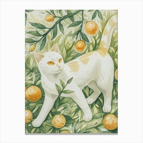 Cat In Oranges Canvas Print