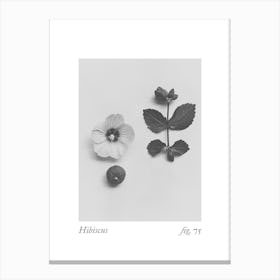 Hibiscus Botanical Collage 1 Canvas Print
