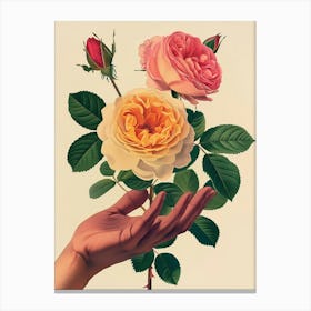 English Roses Painting Rose In A Hand 2 Canvas Print
