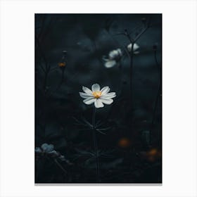 Dark Photography Canvas Print