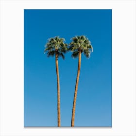 Palm Springs Twin Palms Canvas Print