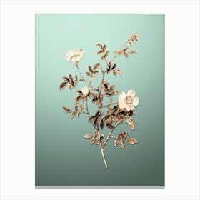 Gold Botanical Pink Hedge Rose in Bloom on Mint Green n.4096 Canvas Print