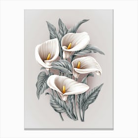 Calla Lily 4 Canvas Print