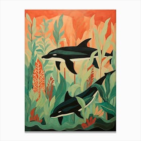 Orca Whales Swimming With Seaweed 2 Canvas Print
