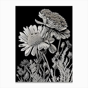 Desert Marigold Wildflower Linocut 1 Canvas Print