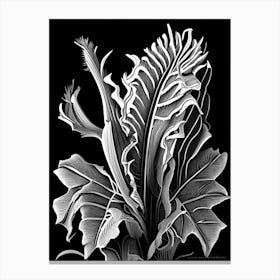 Staghorn Fern Linocut Canvas Print