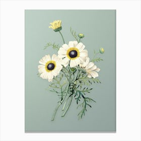 Vintage Chrysanthemum Botanical Art on Mint Green n.0966 Canvas Print