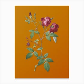 Vintage Velvet China Rose Botanical on Sunset Orange n.0848 Canvas Print