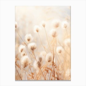 Boho Dried Flowers Everlasting Flower 4 Canvas Print