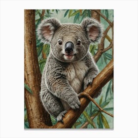 Koala Bear 11 Canvas Print