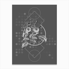 Vintage Seven Sister's Rose Botanical with Line Motif and Dot Pattern in Ghost Gray n.0342 Canvas Print