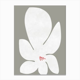 White Lily Canvas Print