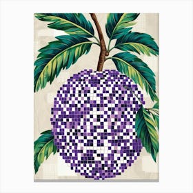 Purple Mango Canvas Print