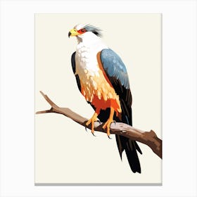 Colourful Geometric Bird Crested Caracara 2 Canvas Print