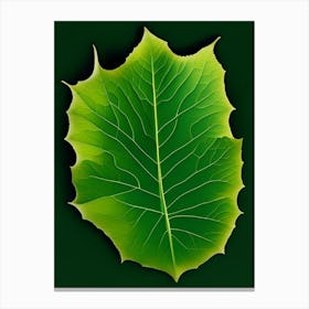 Poplar Leaf Vibrant Inspired 1 Canvas Print