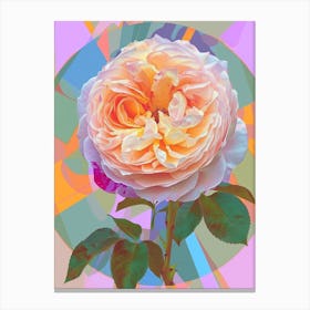 English Roses Circle Painting Abstract 3 Canvas Print