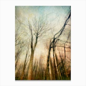 Sentinels Of The Forest Canvas Print